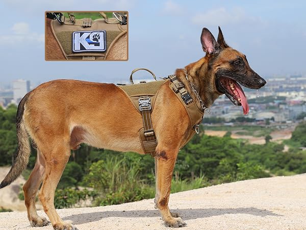dog harness velcro