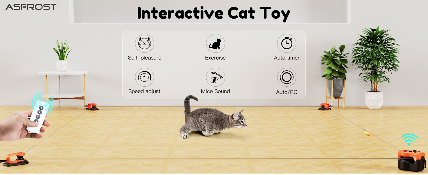 cat toy