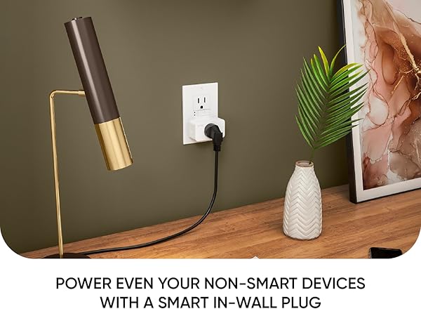 Wyze Plug Indoor Overview 1