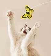 automactic cat toys