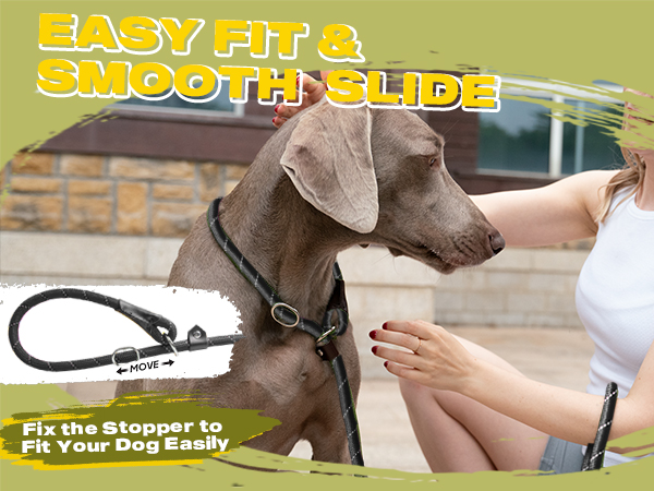 Slip Lead Dog Leash
