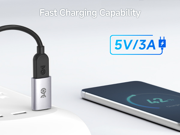 10Gbps USB C to USB Adapter