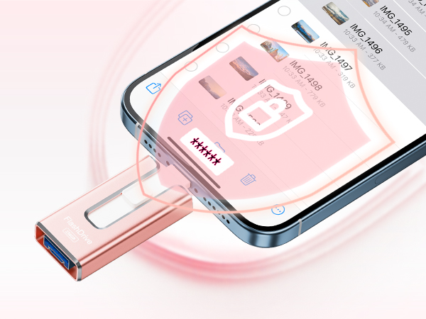 Encryption Protection