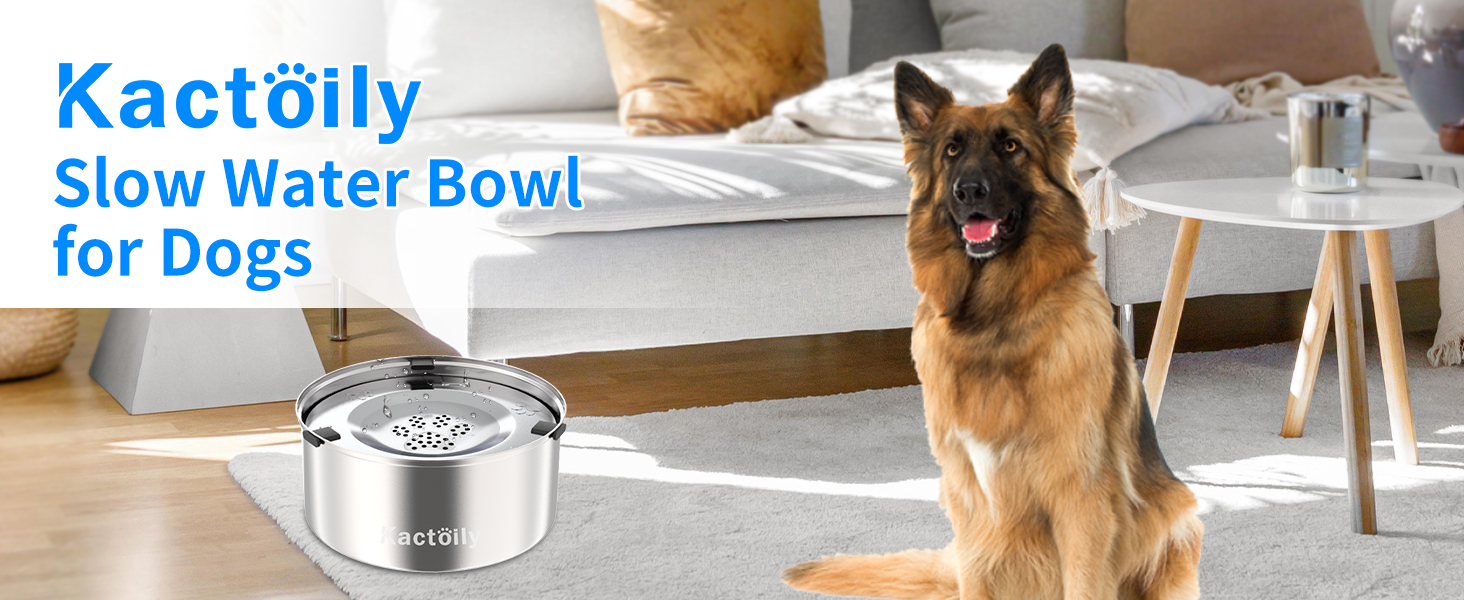 slow water bowl for dogs