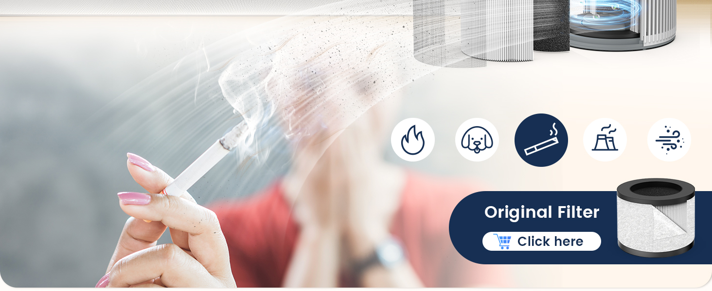 air purifier
