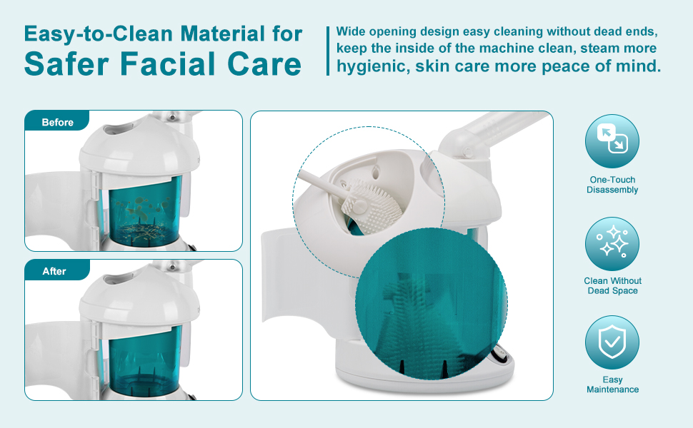 face steamer