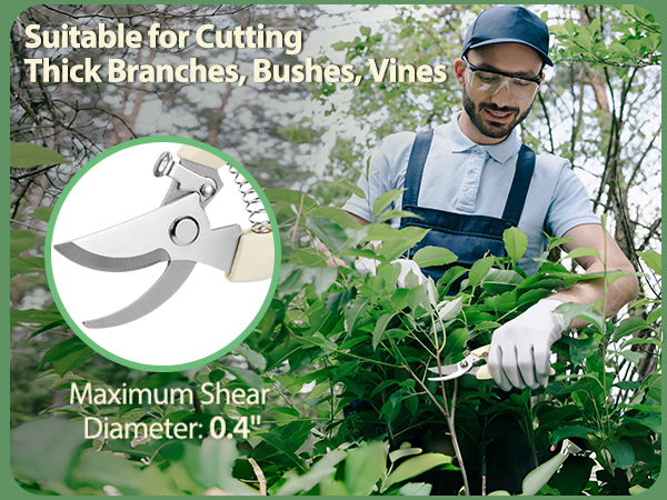 pruning scissors