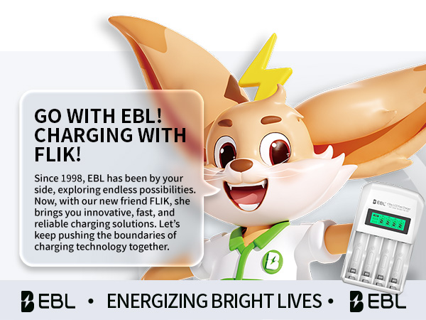 rechargeable battery charger
