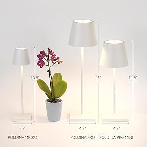 Poldina Pro, seen here with the Poldina Mini and Poldina Micro