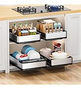 Ewaiira Pull Out Cabinet Organizer 12.6" Wx16.5 D, Stainless Steel Dish Drying Rack with Drainboa...