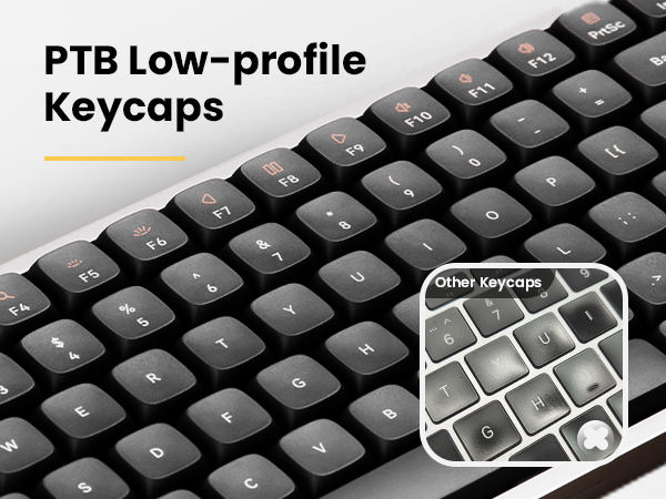 pbt
