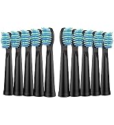 Replacement Toothbrush Heads Compatible with TEETHEORY Sonic and Fairywill Toothbrush - Electric ...