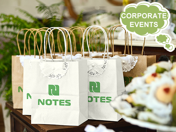 paper bags with handles white