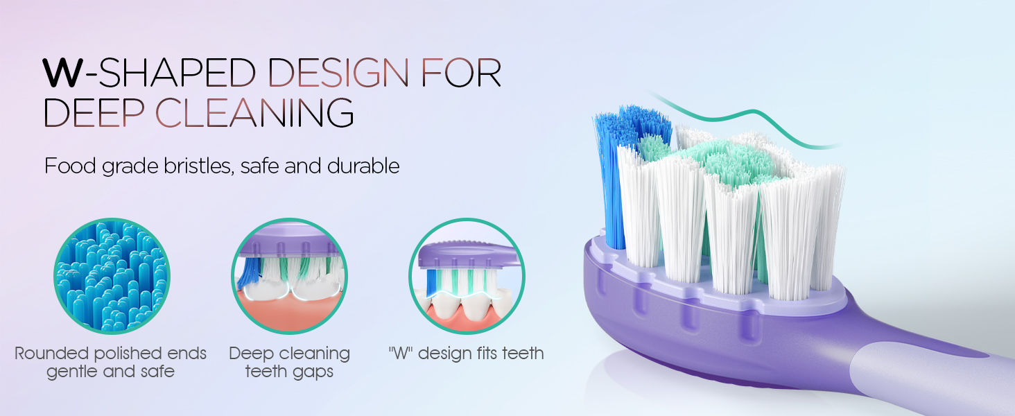W-SHAPED BRUSH HEAD