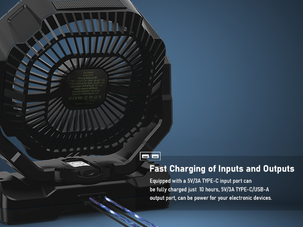 Fast Charging