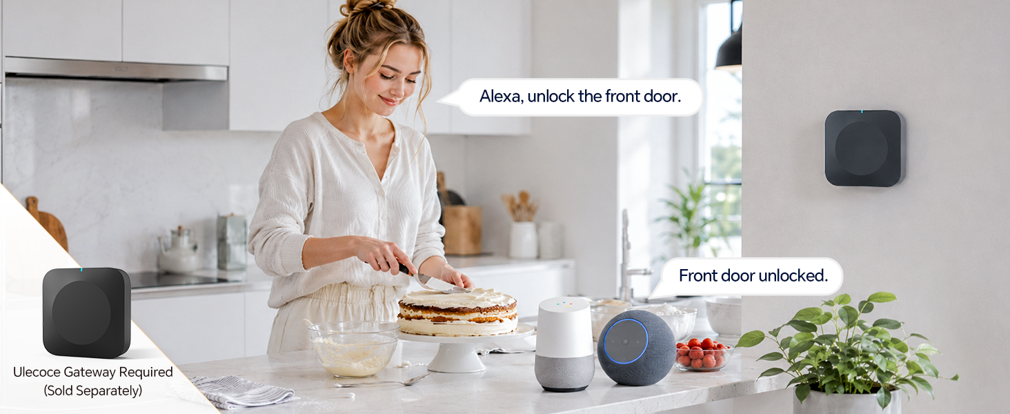 smart lock