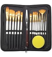 JYN-ANREN Professional 17-Piece Paint Brush Set (Pearl White) with Carrying Case and Water-Absorb...