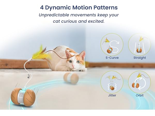 Cat toy with 4 motion modes