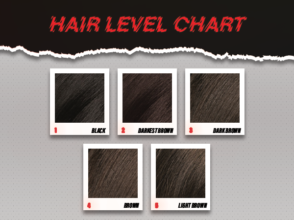 hair level chart