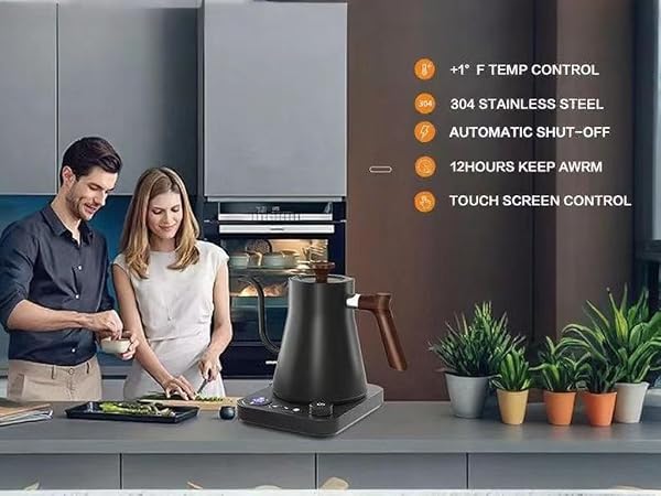 electric tea kettles automatic shut off,electric tea kettle adjustable temperature