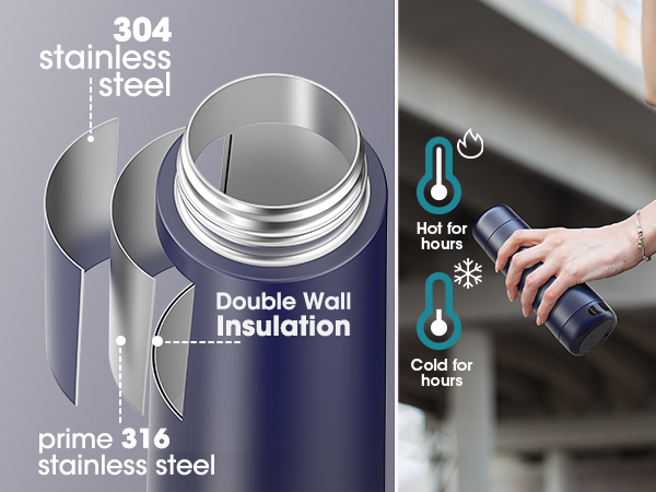 dual voltage travel kettless
