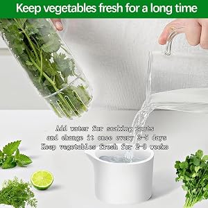herb containers for refrigerator