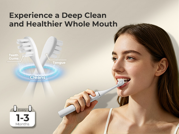 replacement toothbrush heads
