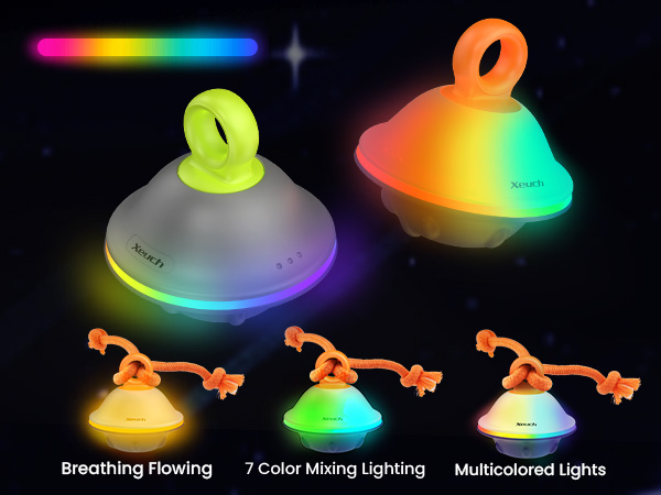 interactive dog toy