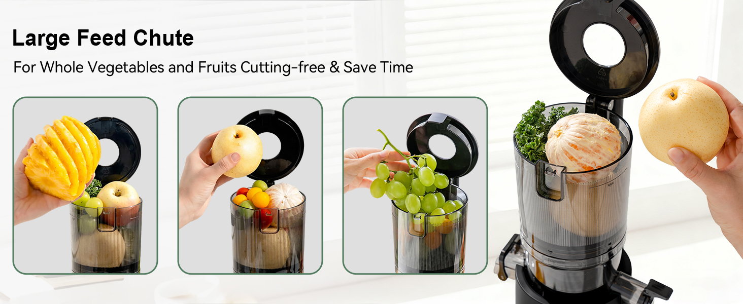 slow juicer