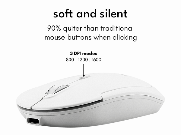 mouse