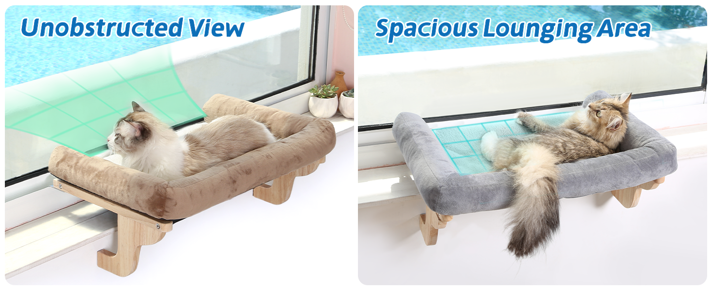 window perch