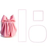 KALAIEN Bow Cookie Cutter Cut Bowknot Plastic Cutter Sets for Cake Cupcake Toppers Decoration