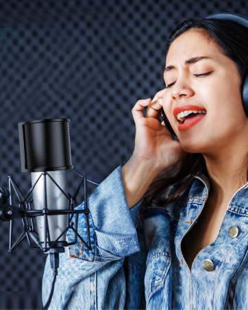 microphone filter