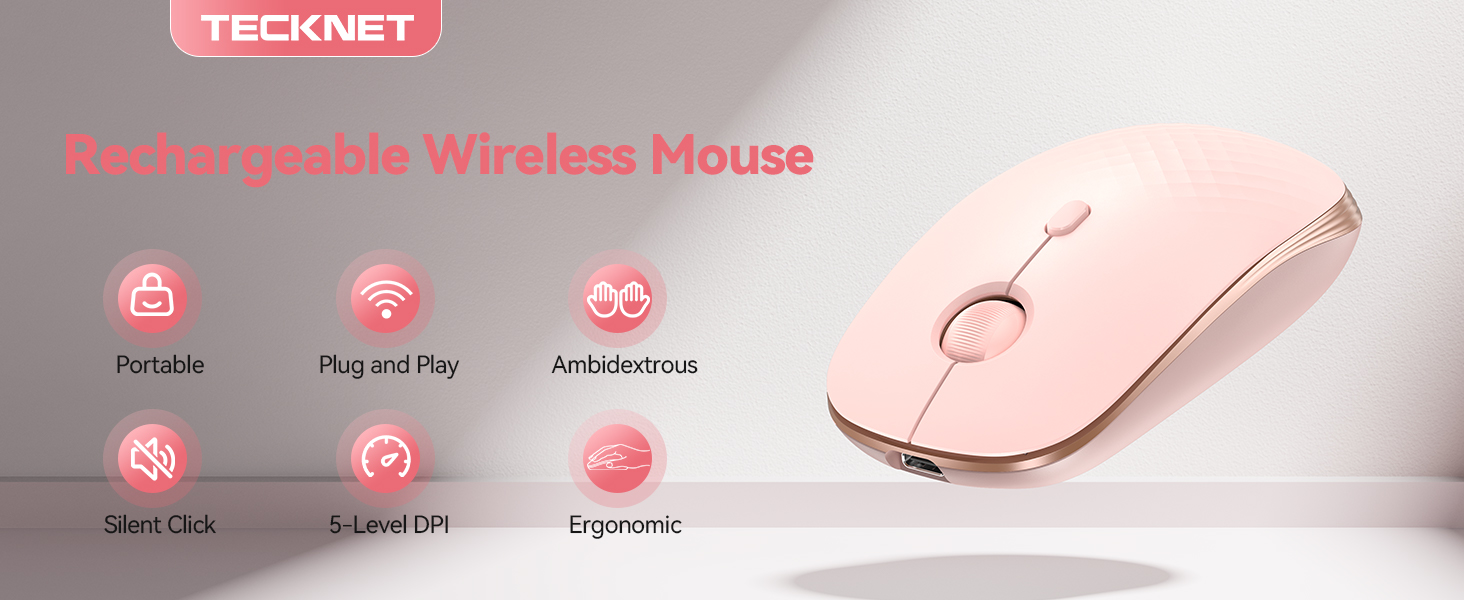 mouse