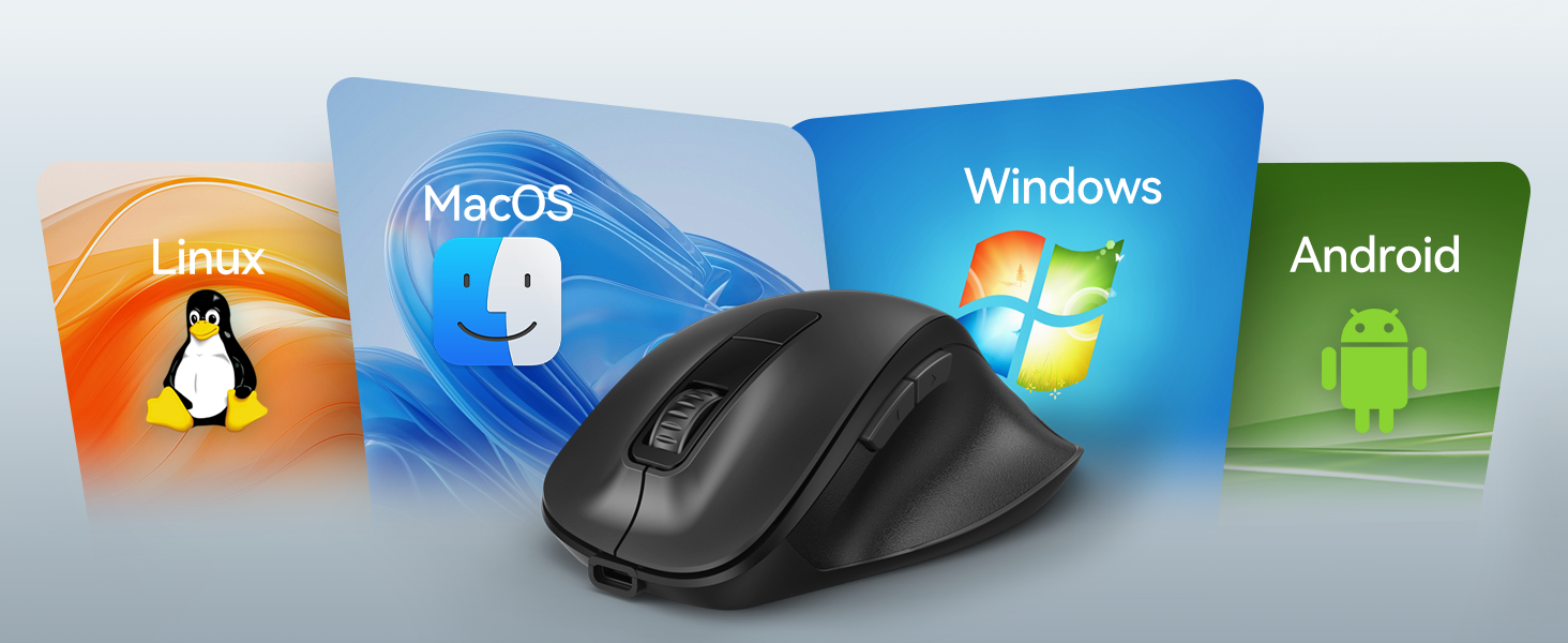 Mouse