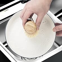 dish brush