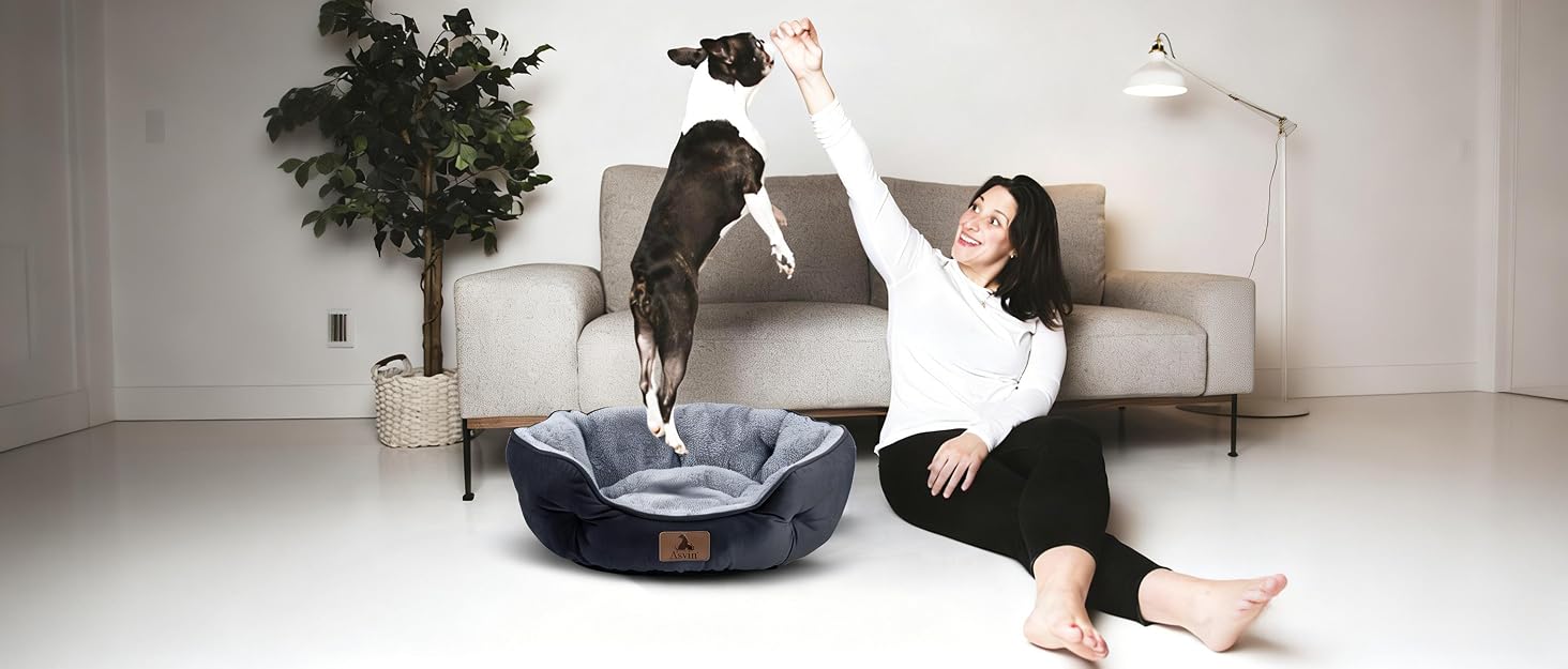 pet bed