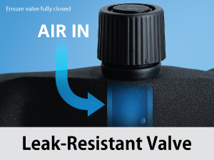 Leak-Resistant Valve