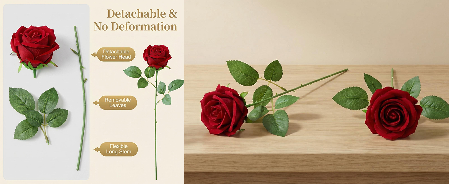red roses pc 05