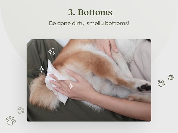 Pet Wipes