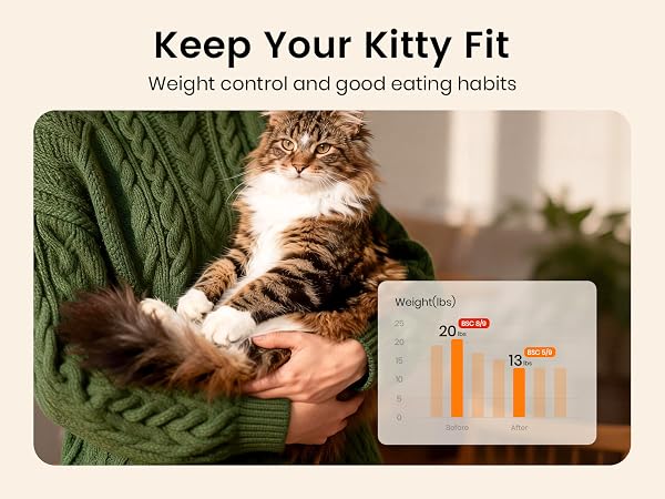 Automatic Cat Feeder and Water Dispenser