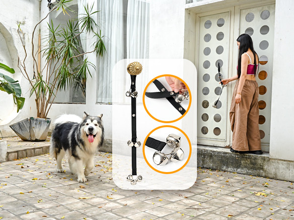 Alaskan dog at the door, owner is installing a dog bell