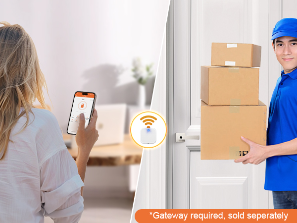 smart door lock