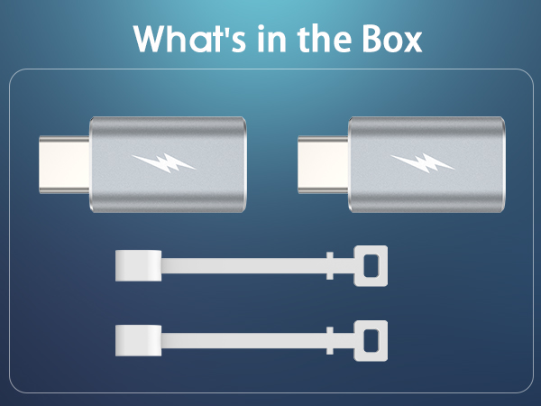 Lightning to USB-C Adapter