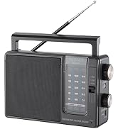 PRONLY Portable AM FM SW Radio, Dual Power (4×AA or DC 5V USB) with Telescopic Antenna, Large Spe...