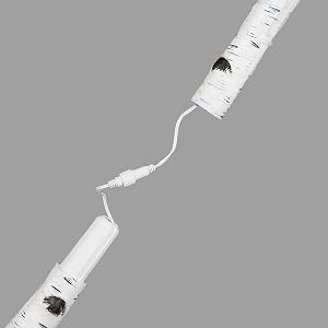 Birch