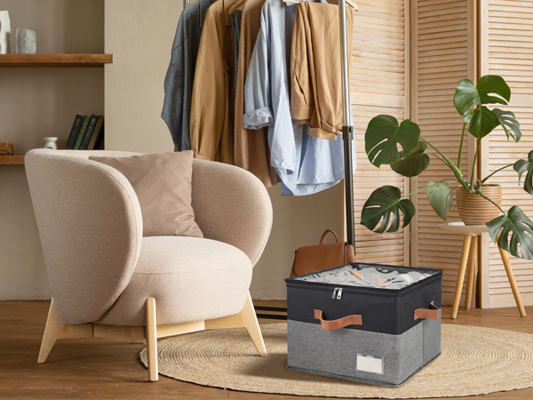 Shoe Organizer for Closet