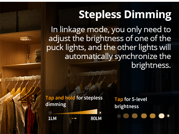 dimmable closet light