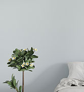 EMODA 14 Inch Twin Bed Frames No Box Spring Needed, Heavy Duty Metal Twin Platform Bed Frame, Noi...