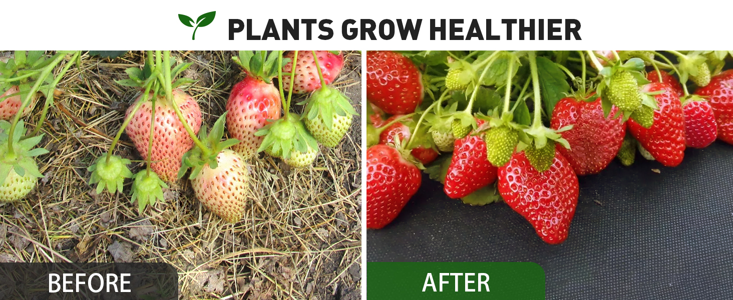 Weed control fabric improves plant growth by suppressing weeds and retaining soil moisture